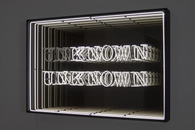 Known Unknown (infinity)